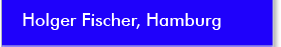 Holger Fischer, Hamburg