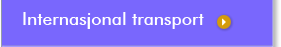 Internasjonal transport